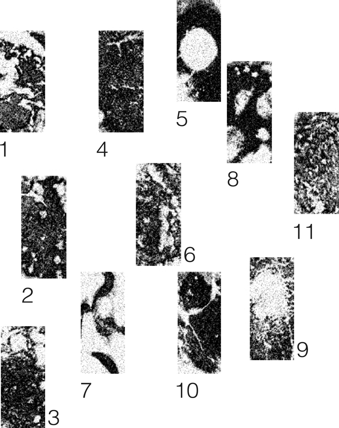 Eleven numbered analog site texture samples, scanned in black and white.