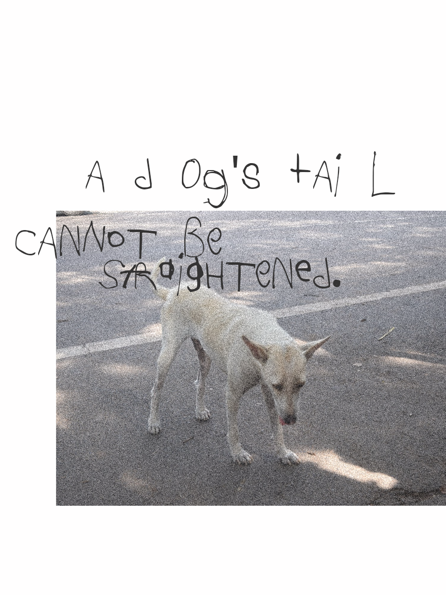 Stray dog on asphalt, hand-lettered.